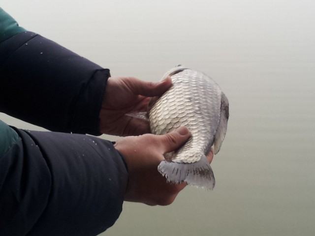 20140309_074400[1].jpg