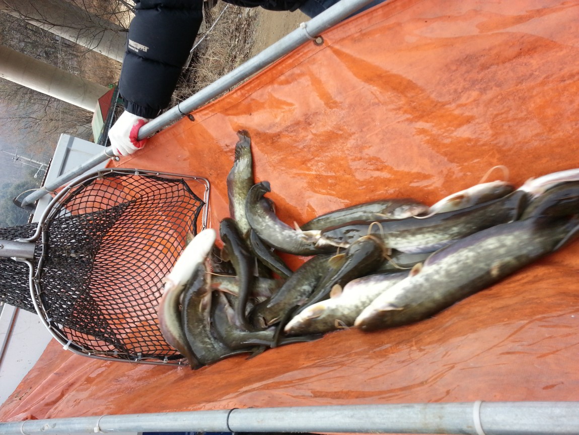 20140308_140247_3.jpg
