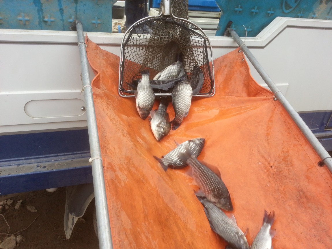 20140301_132740.jpg