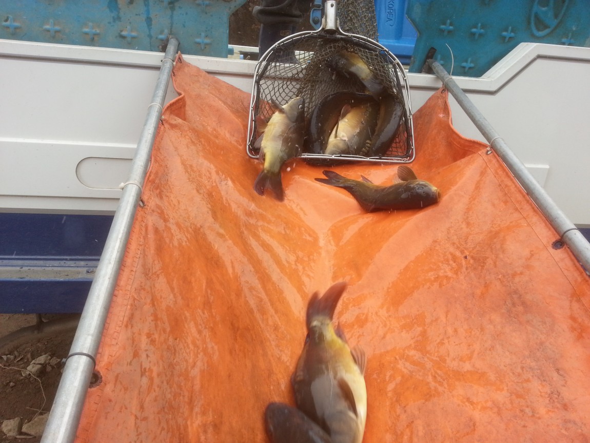 20140301_132847.jpg