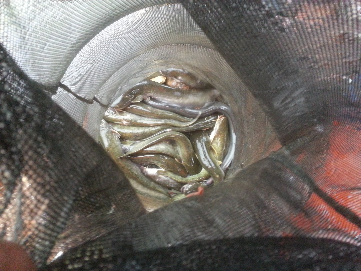 20130915_072955.jpg