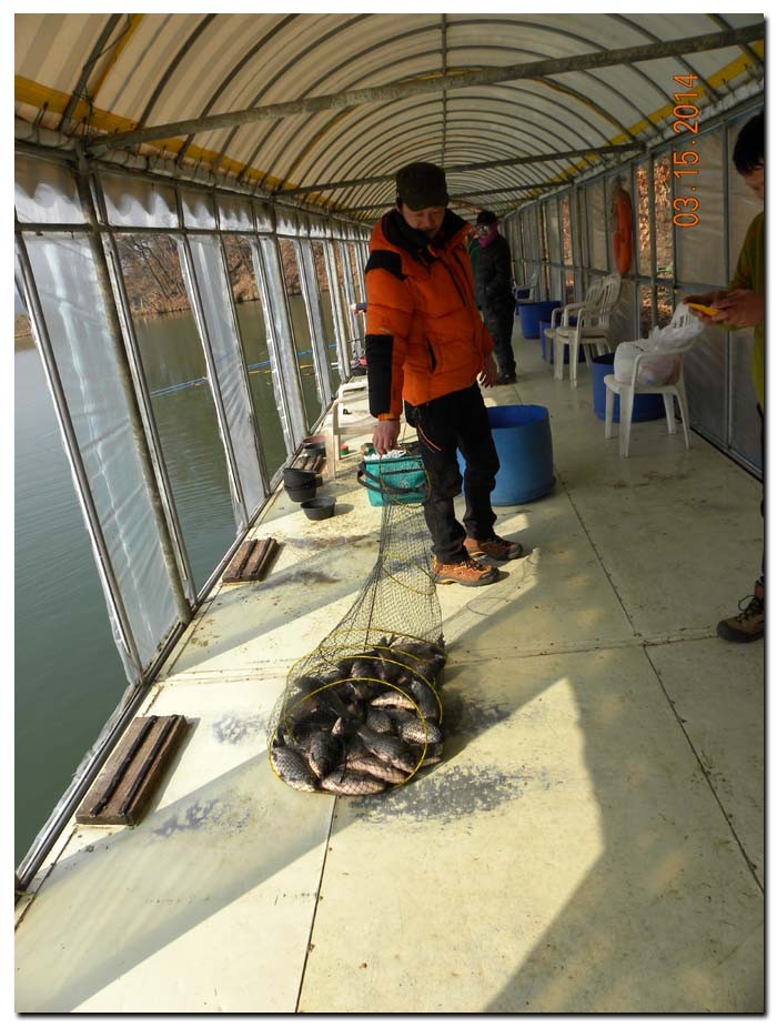 Untitled-3 copy 2.jpg