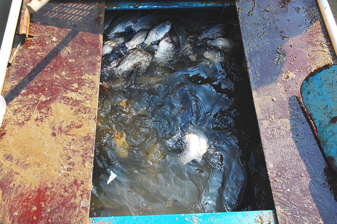 ٹ̱_DSC_0128.JPG