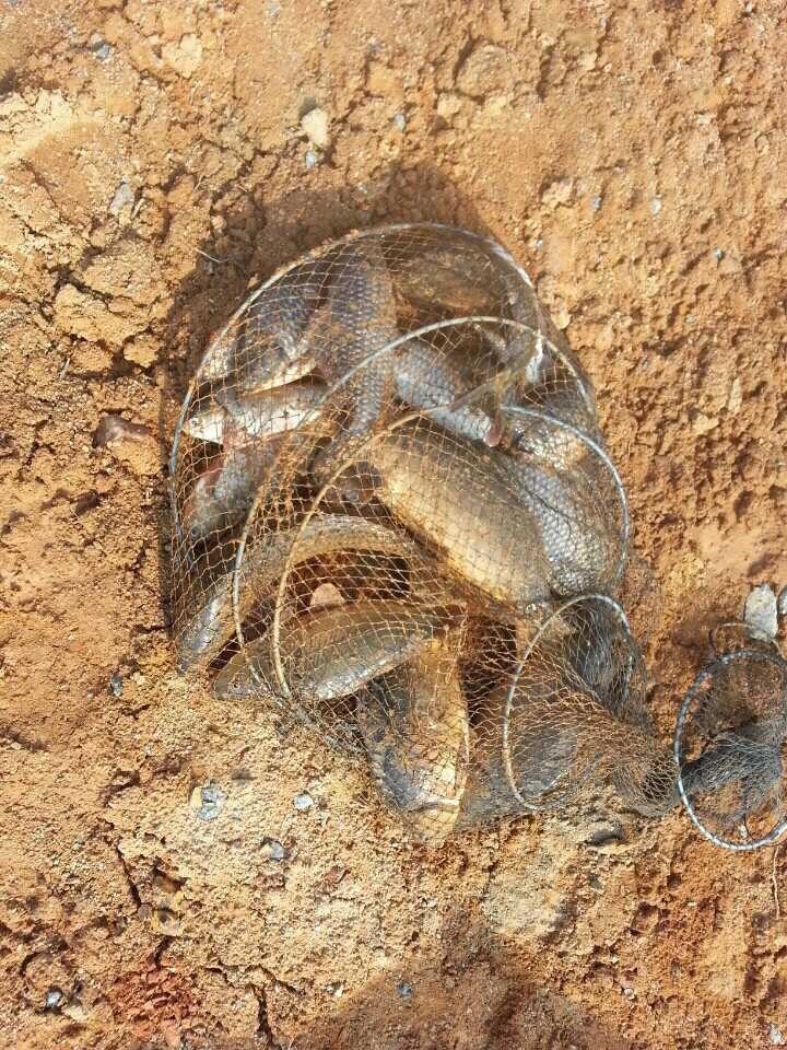 1395020698758.jpg