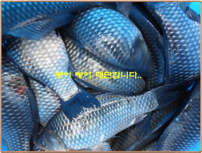 �ٹ̱�_DSCN0034[1].jpg