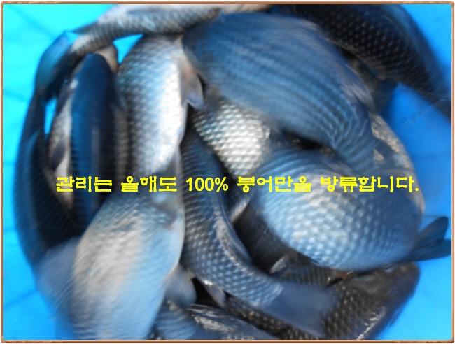 �ٹ̱�_DSCN0035[1].jpg