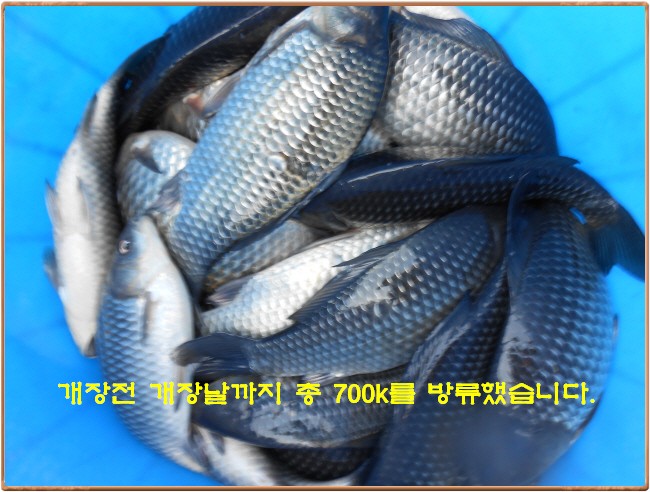 �ٹ̱�_DSCN0041[1].jpg