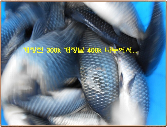 �ٹ̱�_DSCN0042[1].jpg