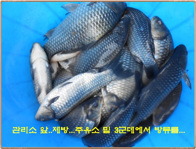 �ٹ̱�_DSCN0044[1].jpg