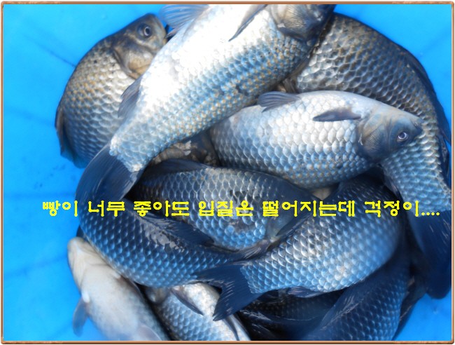 �ٹ̱�_DSCN0045[1].jpg