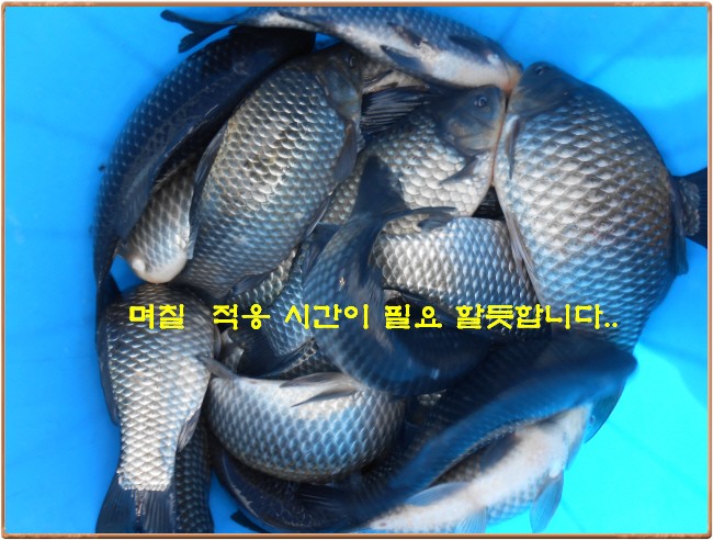 �ٹ̱�_DSCN0046[1].jpg
