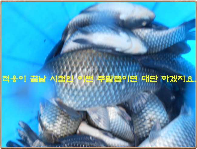 �ٹ̱�_DSCN0047[1].jpg