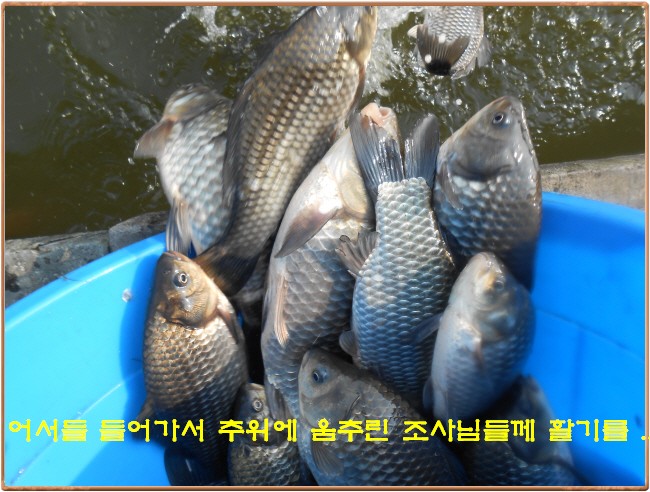 �ٹ̱�_DSCN0048[1].jpg