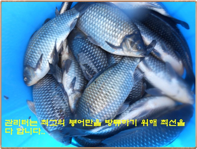 �ٹ̱�_DSCN0049[1].jpg
