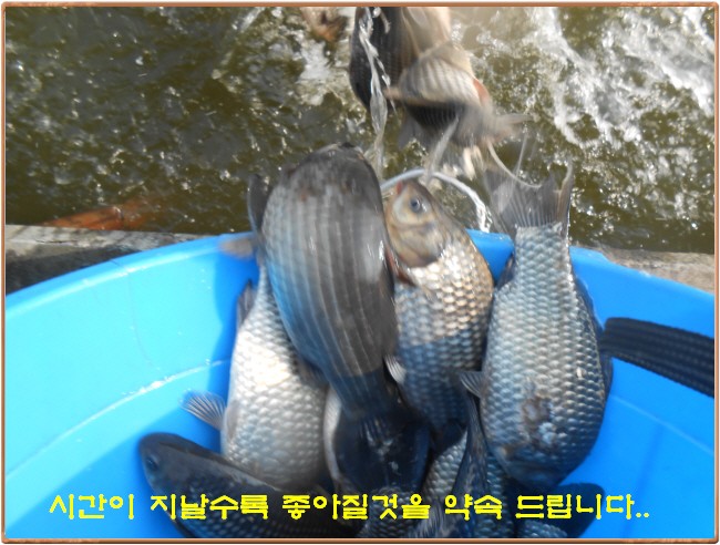 �ٹ̱�_DSCN0051[1].jpg