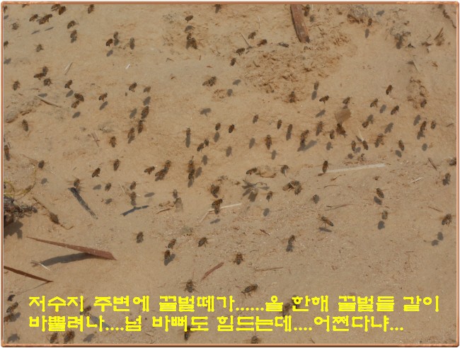 �ٹ̱�_DSCN0101[1].jpg