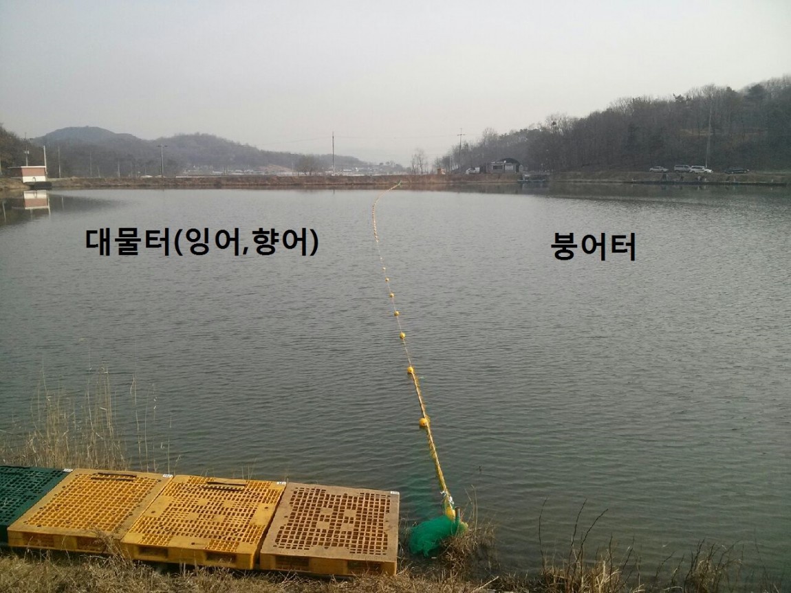 CAM00416.jpg