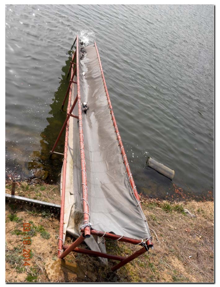 Untitled-1 copy 2.jpg