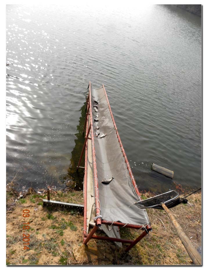 Untitled-1 copy 3.jpg