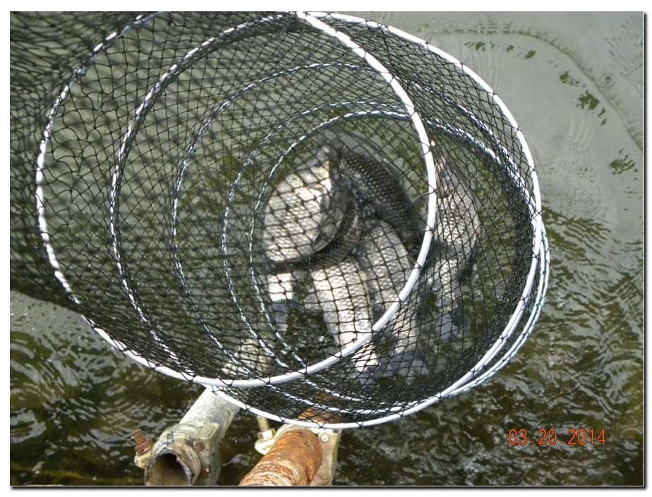 Untitled-1 copy 6.jpg