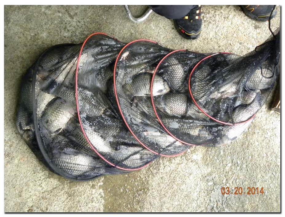 Untitled-1 copy 4.jpg