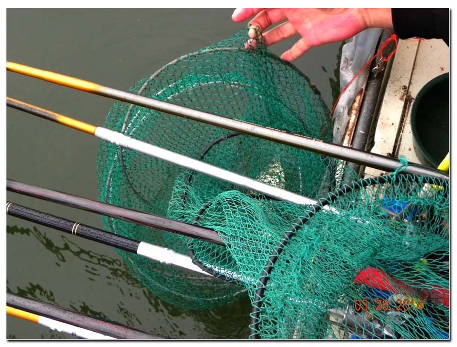 Untitled-1 copy 11.jpg