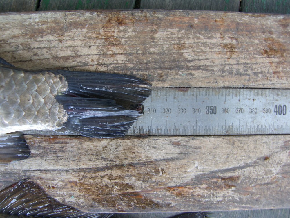 SH107679.JPG