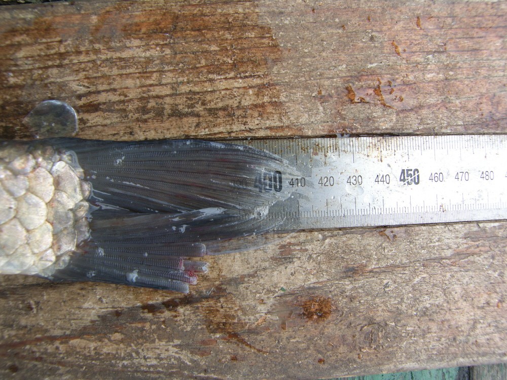 SH107686.JPG