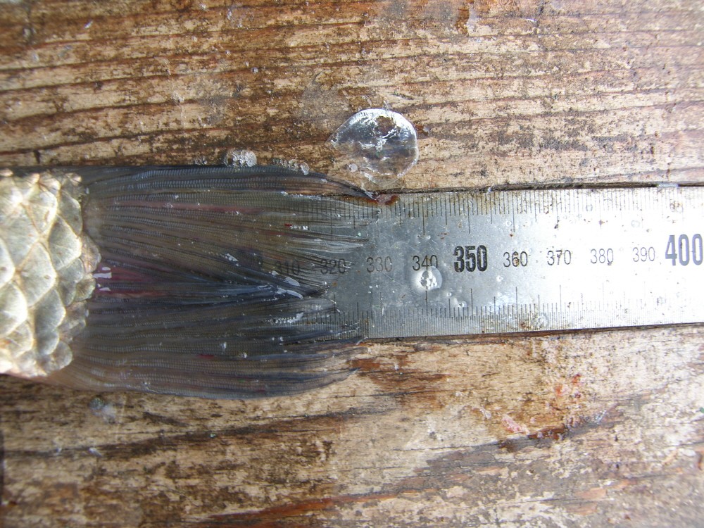 SH107691.JPG