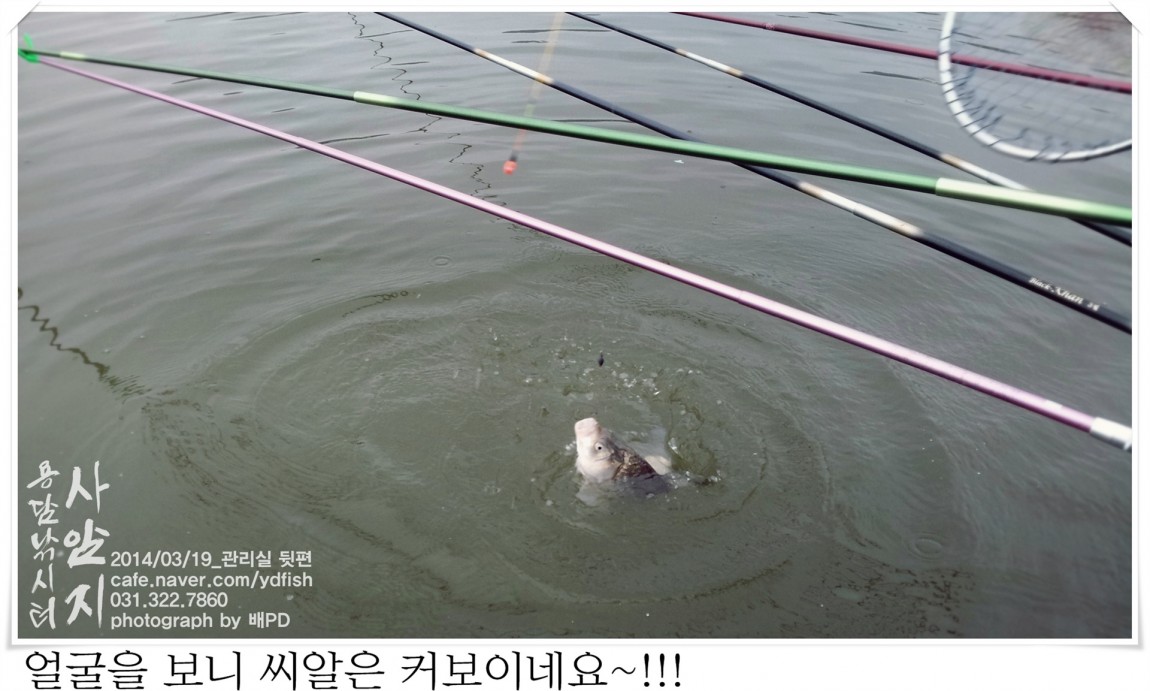 20140319_105427.jpg