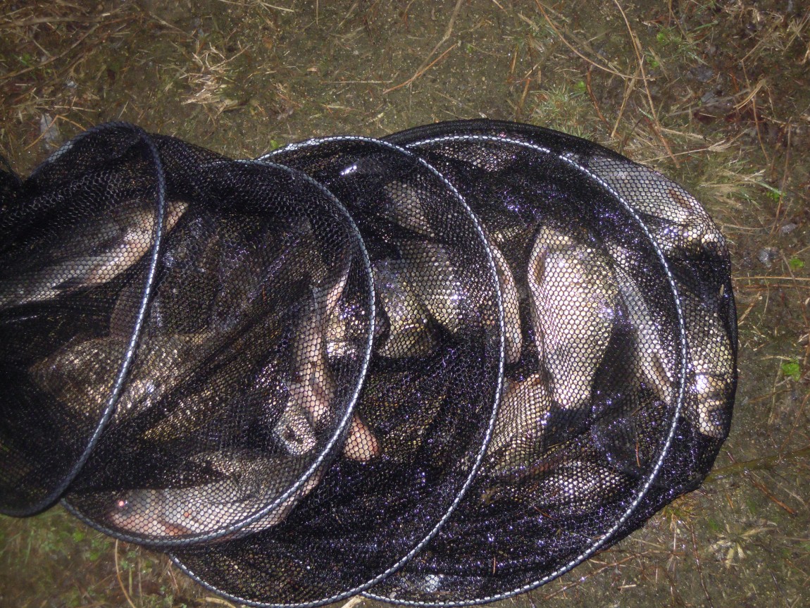 11��27 220.jpg