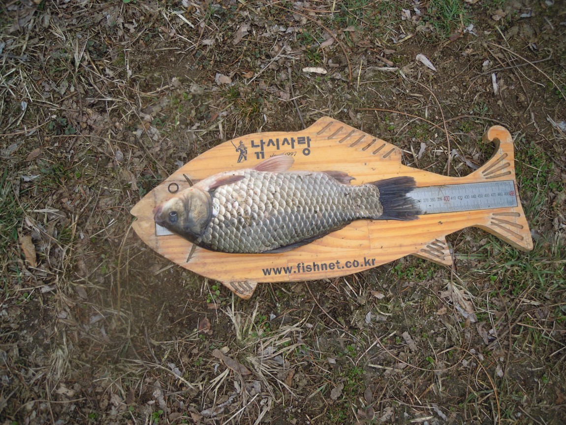 11��27 204.jpg