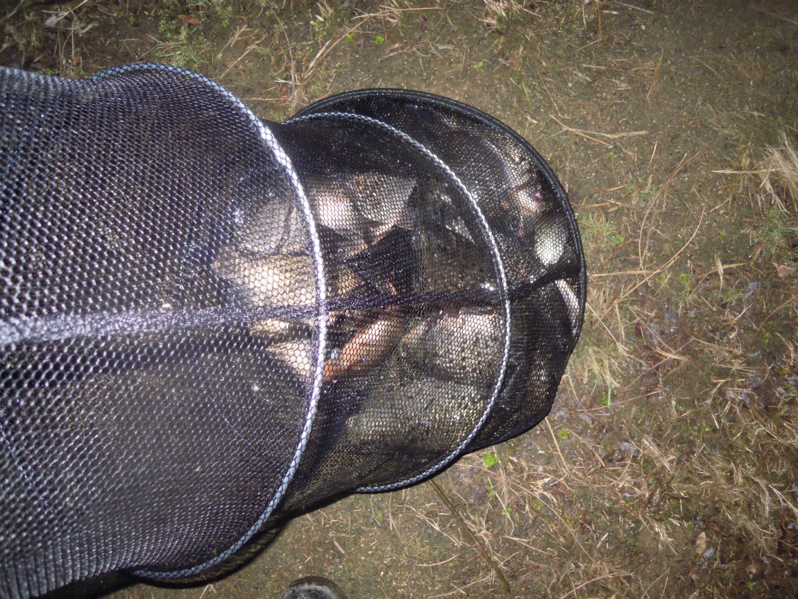 11��27 215.jpg