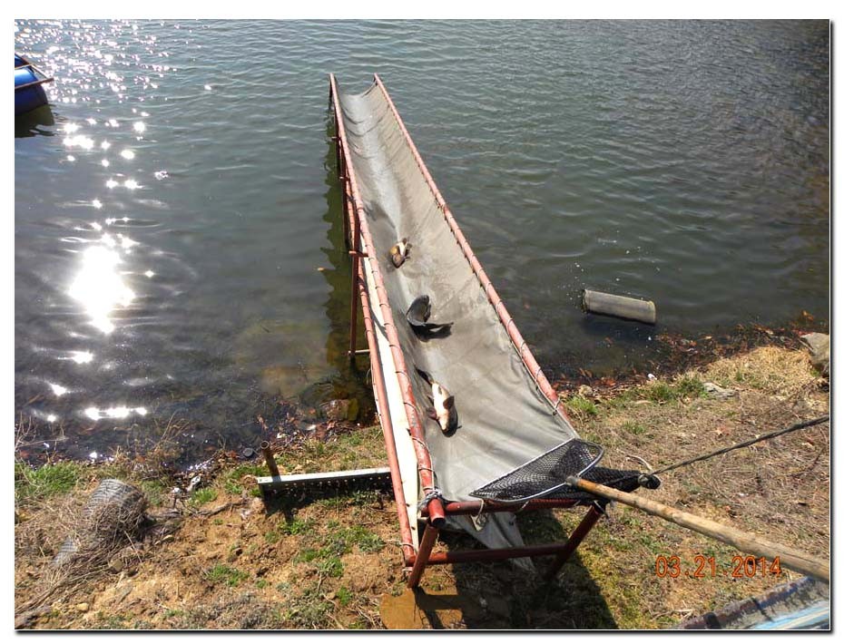 Untitled-2 copy 7.jpg