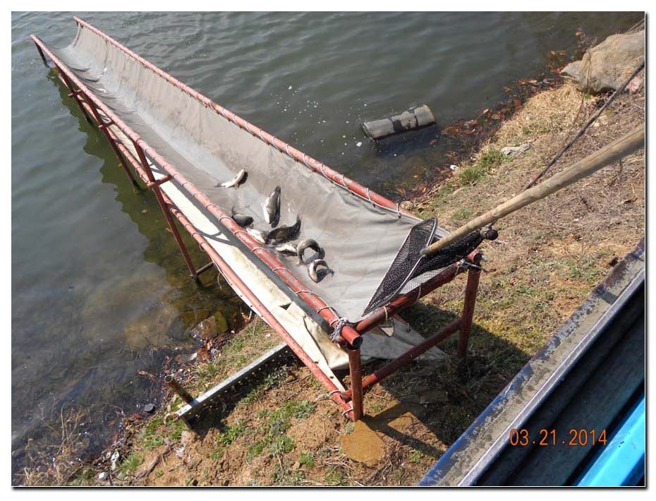 Untitled-2 copy 6.jpg