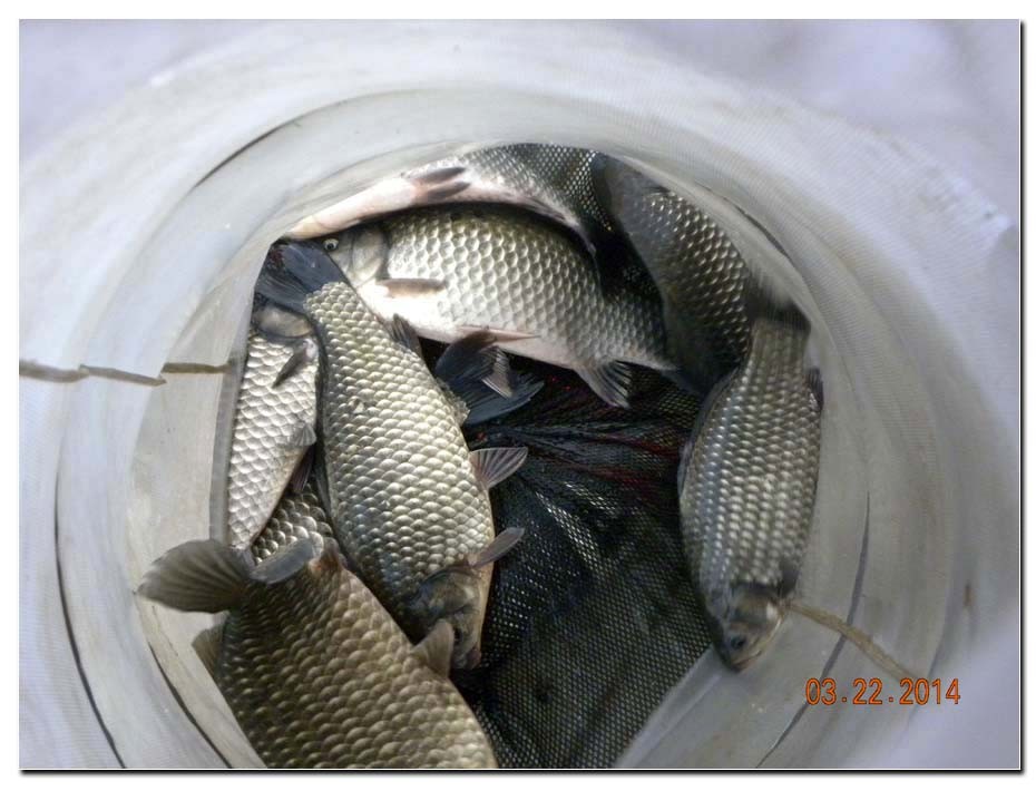 Untitled-2 copy 8.jpg