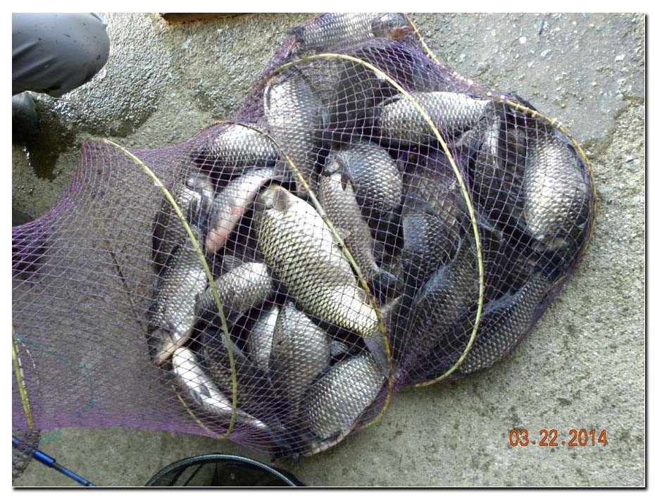 Untitled-2 copy 12.jpg