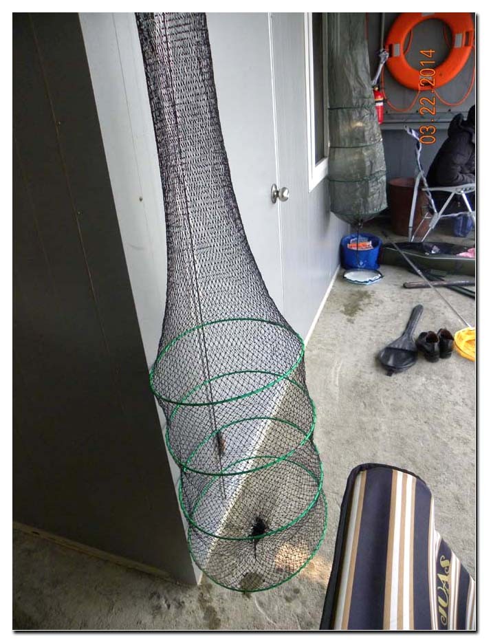 Untitled-2 copy 14.jpg