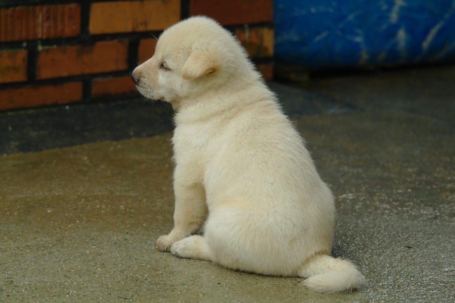 1375660278[1].jpg