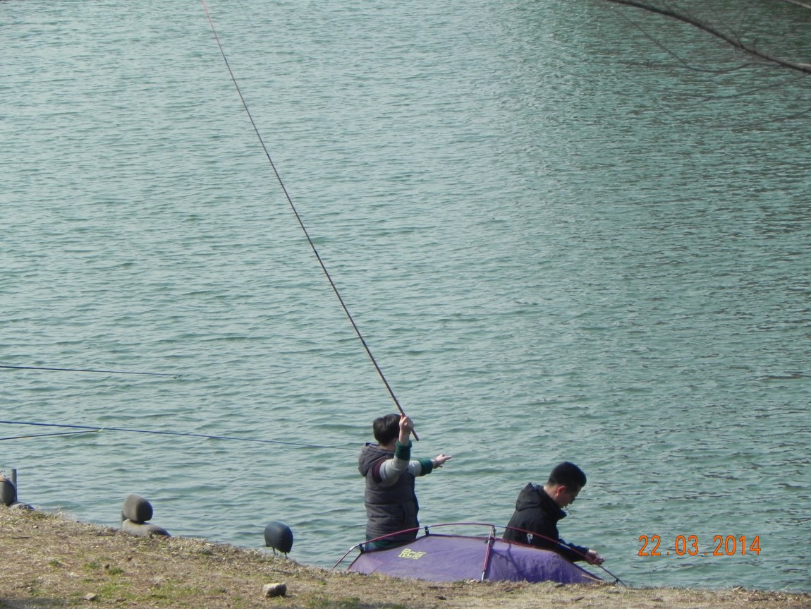 DSCN6401.JPG