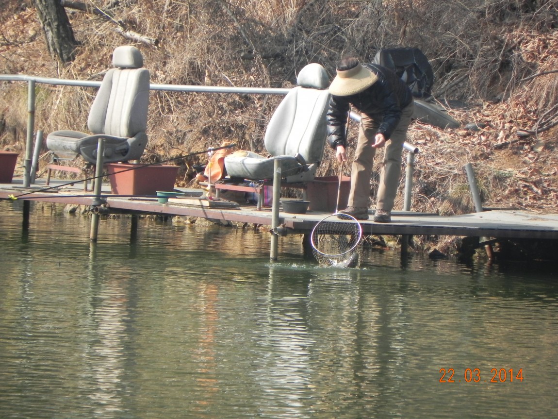 DSCN6422.JPG