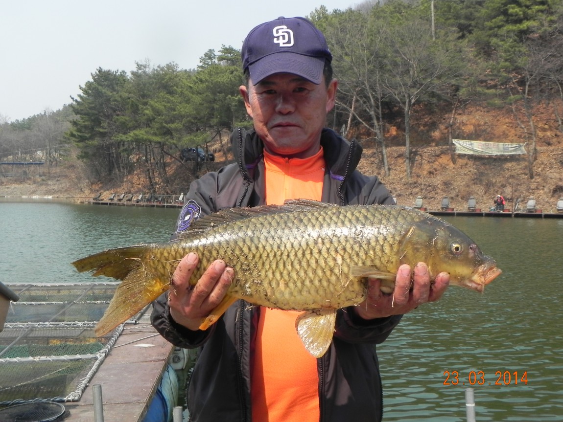 DSCN6602.JPG