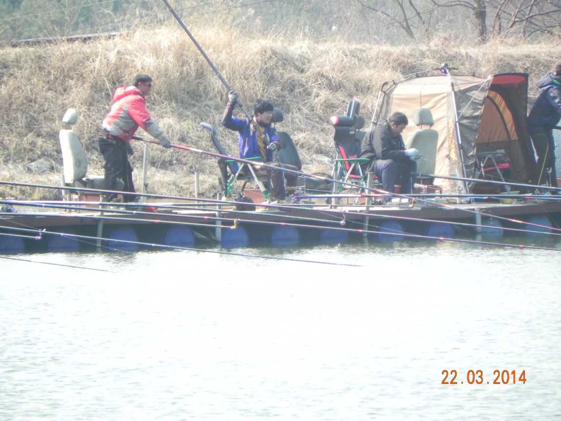 DSCN6411.JPG