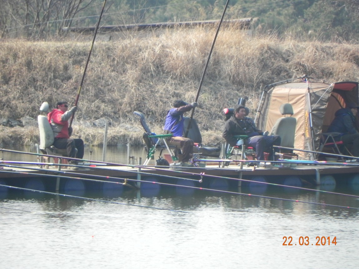 DSCN6415.JPG