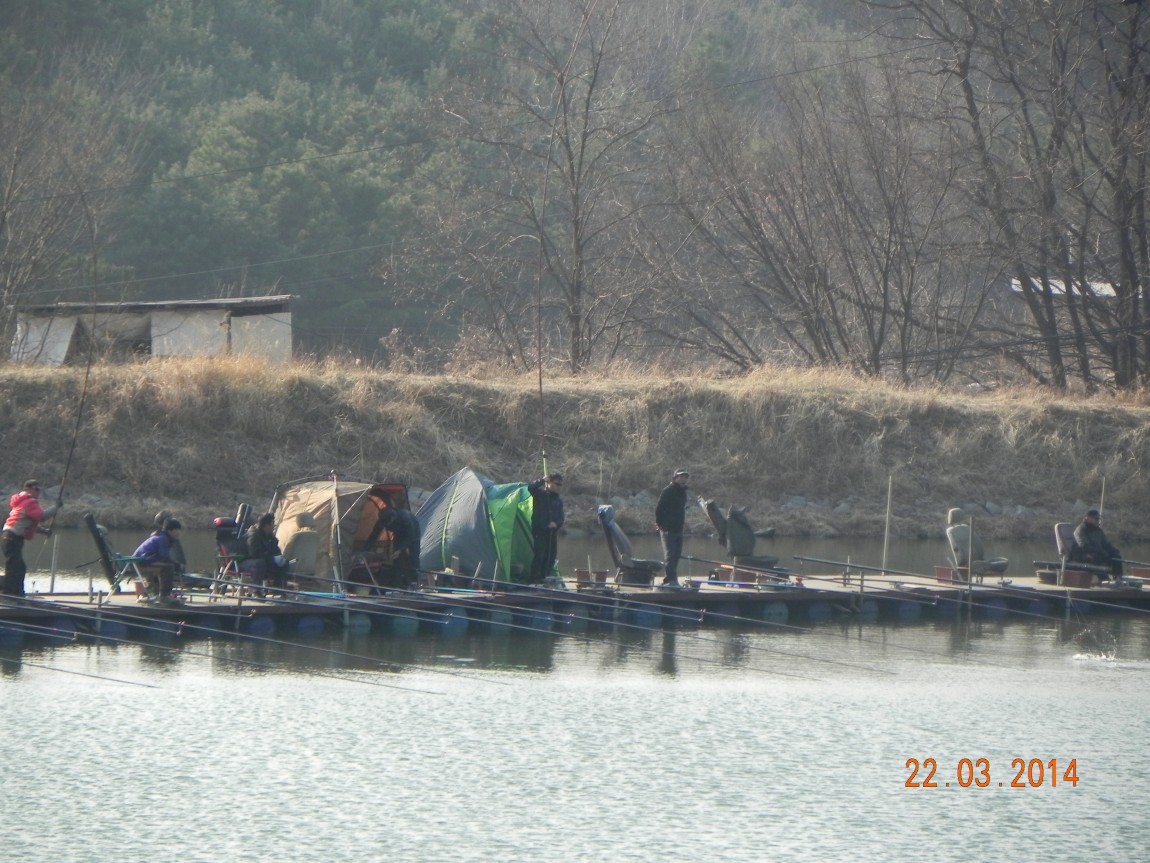 DSCN6460.JPG