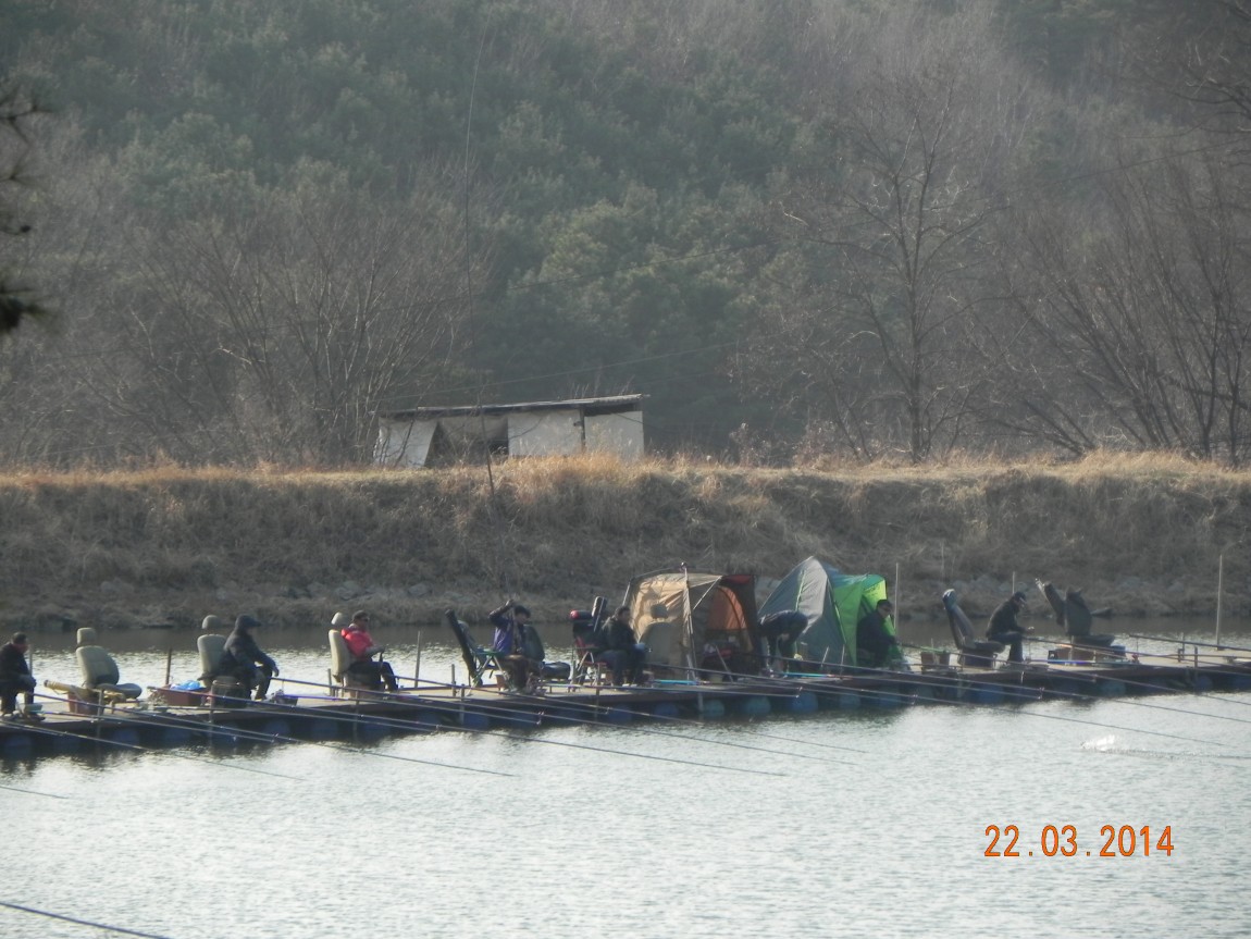 DSCN6462.JPG
