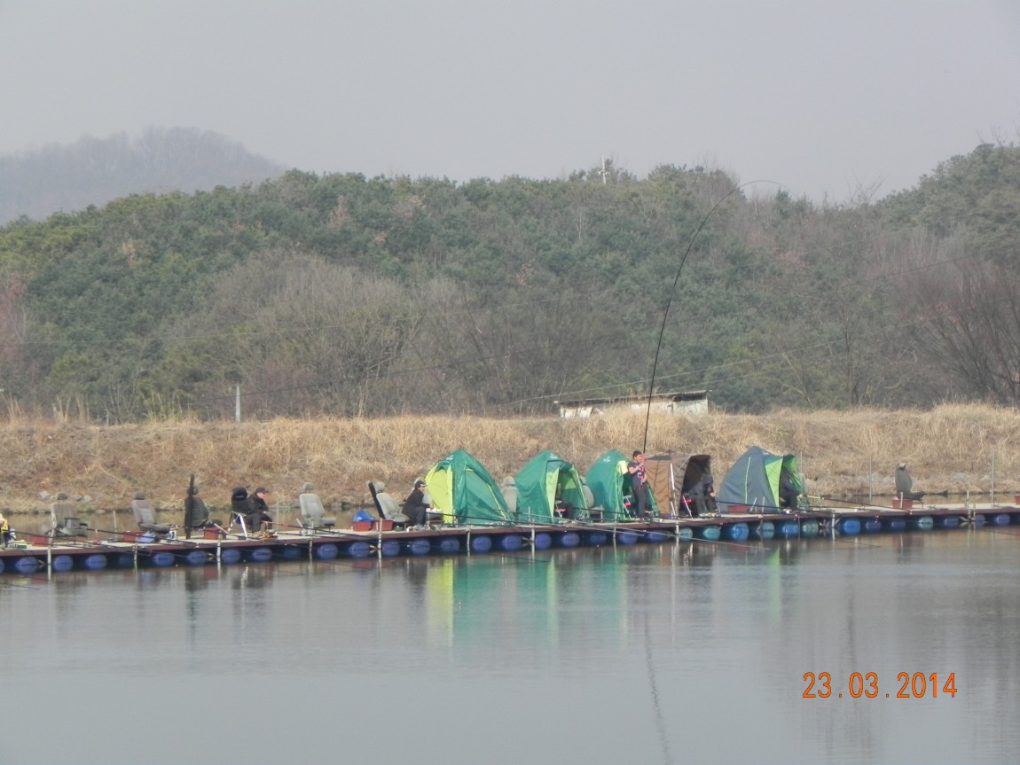 DSCN6524.JPG