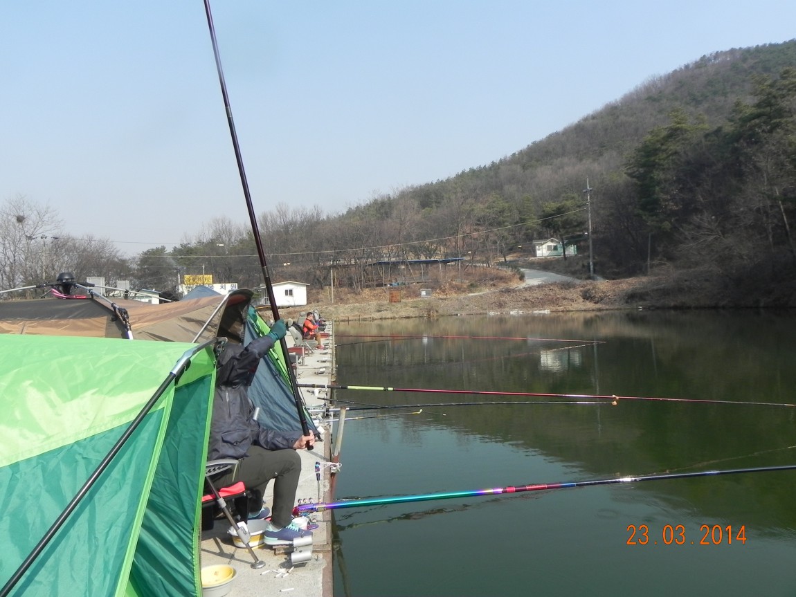 DSCN6534.JPG