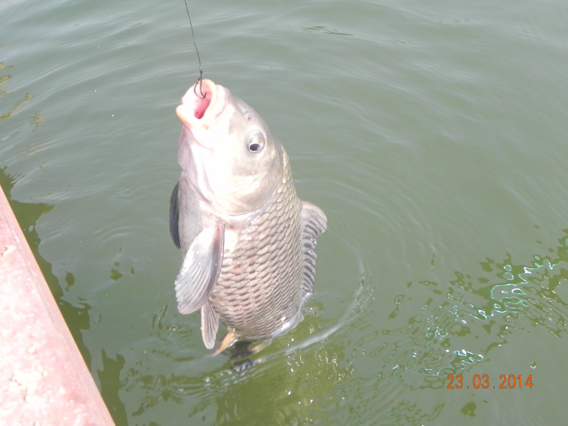 DSCN6537.JPG