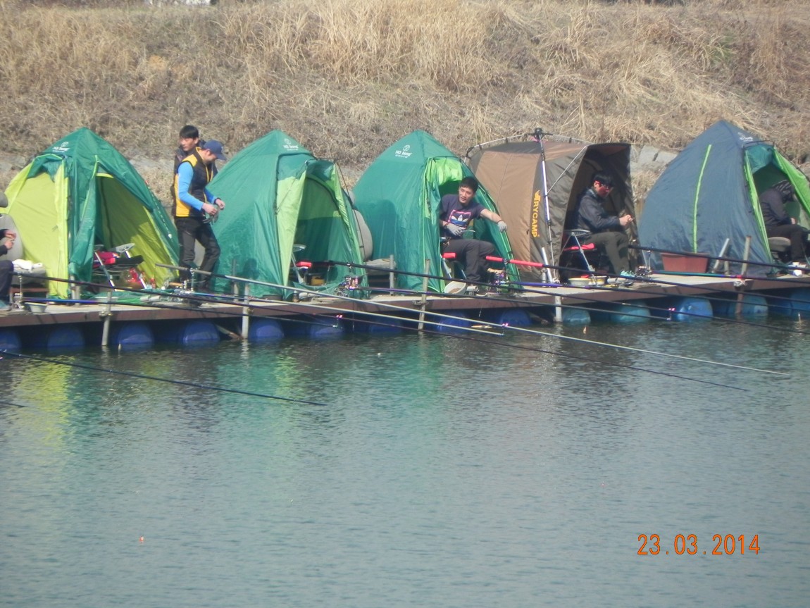 DSCN6555.JPG